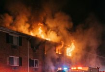 I called him filthy. I threw away the bread he touched like he was less than human. But when the fire swallowed my apartment and my little girl stopped breathing, it was the same homeless man kicking down my door. “Take my hand, Rachel!” he shouted through the smoke. As I held Lily against my chest, one terrifying question haunted me: why did the people I despised become our only heroes?