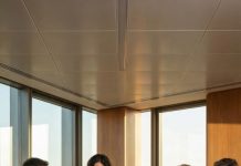 En pleno desayuno me humilló con una sonrisa: “Eres temporal, hasta que ella diga que sí”. Horas después, ante toda la junta, su jefa se arrodilló y le pidió matrimonio; él aceptó como si yo no existiera. Yo no grité, no lloré, no supliqué. Solo moví las acciones de 200 millones que estaban a mi nombre. A la mañana siguiente, lo había perdido todo… y al fin descubrió quién mandaba de verdad.