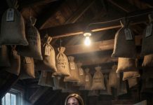 Estaba embarazada de siete meses cuando tuve que regresar a la vieja casa de mi madre después de un divorcio doloroso. Mi cuerpo todavía llevaba los moretones que me había dejado mi exmarido. Mientras limpiaba el ático, descubrí cientos de bolsas de tela escondidas, cada una marcada con la letra de mi madre. Pero apenas una semana después, mi ex apareció, exigió la mitad de todo y luego me golpeó delante de mi hija. Él pensó que yo seguiría callada y soportándolo todo. No tenía idea de que el secreto escondido en ese ático estaba a punto de hacer que pagara.