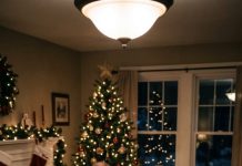 At Christmas dinner, my brother raised his glass and smirked. “We all agreed—you don’t belong in this family anymore.” Everyone laughed, even my parents. I didn’t cry. I only smiled and placed a sealed folder on the table. “Good,” I said. “That makes this easier.” But when my brother opened the first page, his face turned white—and the screaming started.