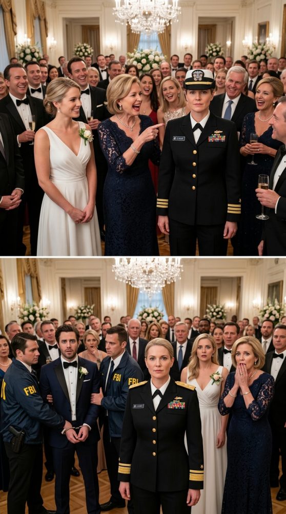 Naval_officer_revealed_at_party_202606211156