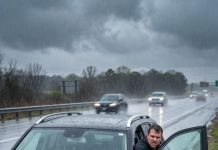 Rain hammered the highway when my son-in-law suddenly stopped his brand-new car, shoved me out, and tossed my bag into the mud. “You’re soaking my seats, old woman. You’re ruining my new car!” he snapped before speeding away. I stood there drenched, trembling—and smiled. He thought the car belonged to him. What he didn’t know was that I had paid for it… and one phone call was about to change everything.